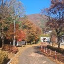 사북119안전센터 이미지