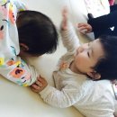 시은이네집