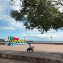 봉’s 커피 | 필리핀 두마게티 여행 마지막날 국내선 이동 스타벅스 봉봉스 기념품