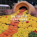 영암김창조가야금전국대회 | 전남가볼만한곳 영암월출산국화축제 2025 개화상황과 가수 공연안내, 주차장, 야경