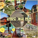 화이트팬션 | 강원도 계곡 독채 펜션 가족 여행 설악산 계곡이 앞마당인 숙소 오색연가