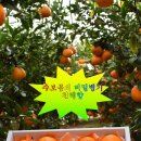 제주댁 농장 이미지