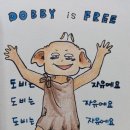 꽁언니눈썹방