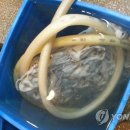 해동유통 이미지