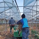 영재농장 이미지