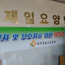 제주제일요양병원 Daum카페