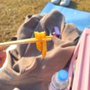 계광농장 | 2204 밀어내지마. . 나 그거 페티쉬있어 . .