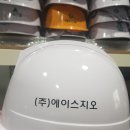 (주)에이스지오