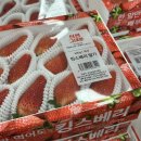 이마트24창현신명점 | 삼월이 왔어요