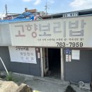 고향보리밥집 앞 이미지