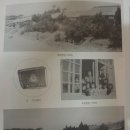 본오 초등학교 이미지