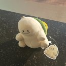 1월 반틈과 2월 반틈
