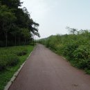 상촌마을회관 이미지