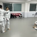 아트 주짓수 레슬링 이미지