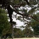 물야초등학교 이미지