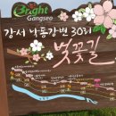 대저왕밀면냉면 이미지