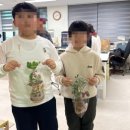 조성초등학교 이미지