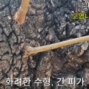 태림농원 이미지