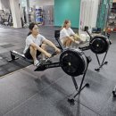 표박사 크로스핏 | [용인 다이어트] 용인 기흥 신갈 , 크로스핏 다이어트 집중반 가격/시간표 (피지컬그라운드)