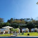 토리글램핑 이미지