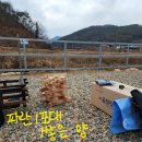 시골캠핑장작