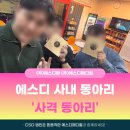 에스디팜 이미지