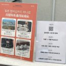 소호초등학교 | 여수 핫한 오션뷰 카페 추천 소호동 바다뷰 예쁜 대형 베이커리 맛집 힐론카페