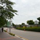 복많은농부 | 얼레벌레 야채의 일상-5월 일상 조금과 6월의 일상(사진 왕많음 주의)