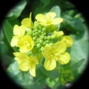 대신 반찬 이미지