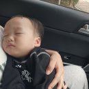 슬기농장 2 이미지