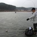 죽전지 Daum카페