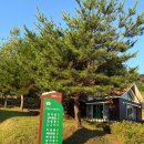 산수유자연휴양림 | 구례 산수유 자연휴양림 숲속의집 남바람꽃 후기(+수영장 후기)