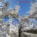 LH홍보관 맞은편 이미지