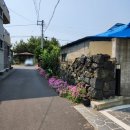 제주 소록 | 함덕/제주소록 펜션, 함덕 가성비 감성 숙소 내돈내산 후기 (주차)