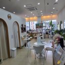 효소테라피 | 대전 탄방동 더라움테라피 효소찜질 효과 내돈내산 후기