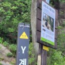 6월16일(일)도봉산-Y계곡 향적지기님 리딩 이미지