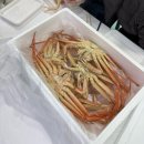 두원상사 | 피해야할 최악의 울진 회 식당 ‘동해식당‘ 후기 / 반찬 공깃밥 재탕하는 식당 ‘동해식당’ / 울진...