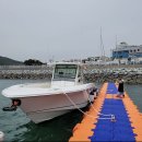 연출의 자유인 이미지