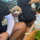 산아래가든 이미지