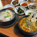 사계절 | 일산 식사동 보양식 삼계탕 맛집 사계절, 삼계탕 갈비국밥 메뉴 후기
