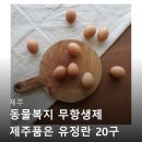 싱싱한아침 | 제주 동물복지 무항생제 제주품은 유정란 20구 30구 40구 산지직송 싱싱한 계란 구매 후기
