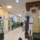 금천 스크린골프 이미지