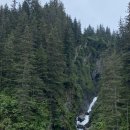 대신부화장 이미지