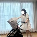 디자인플러스창 | 잉글레시나 앱티카 내돈내산 후기 / 부가부 드래곤 플라이, 에그 제트플러스 비교 후 최종 절충형...