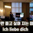 Ich liebe dich - Dana Winner 이미지