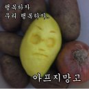 단양회수산 이미지
