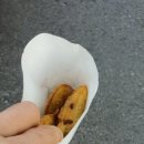 성모의료기 이미지