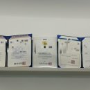 대구 고양이 미용 밀꼬냥 이미지