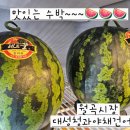 대성야채청과 이미지