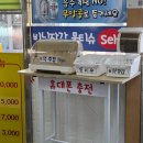 주문진항 부두시장 맛집 웰빙홍게무한리필 도깨비 세트 후기